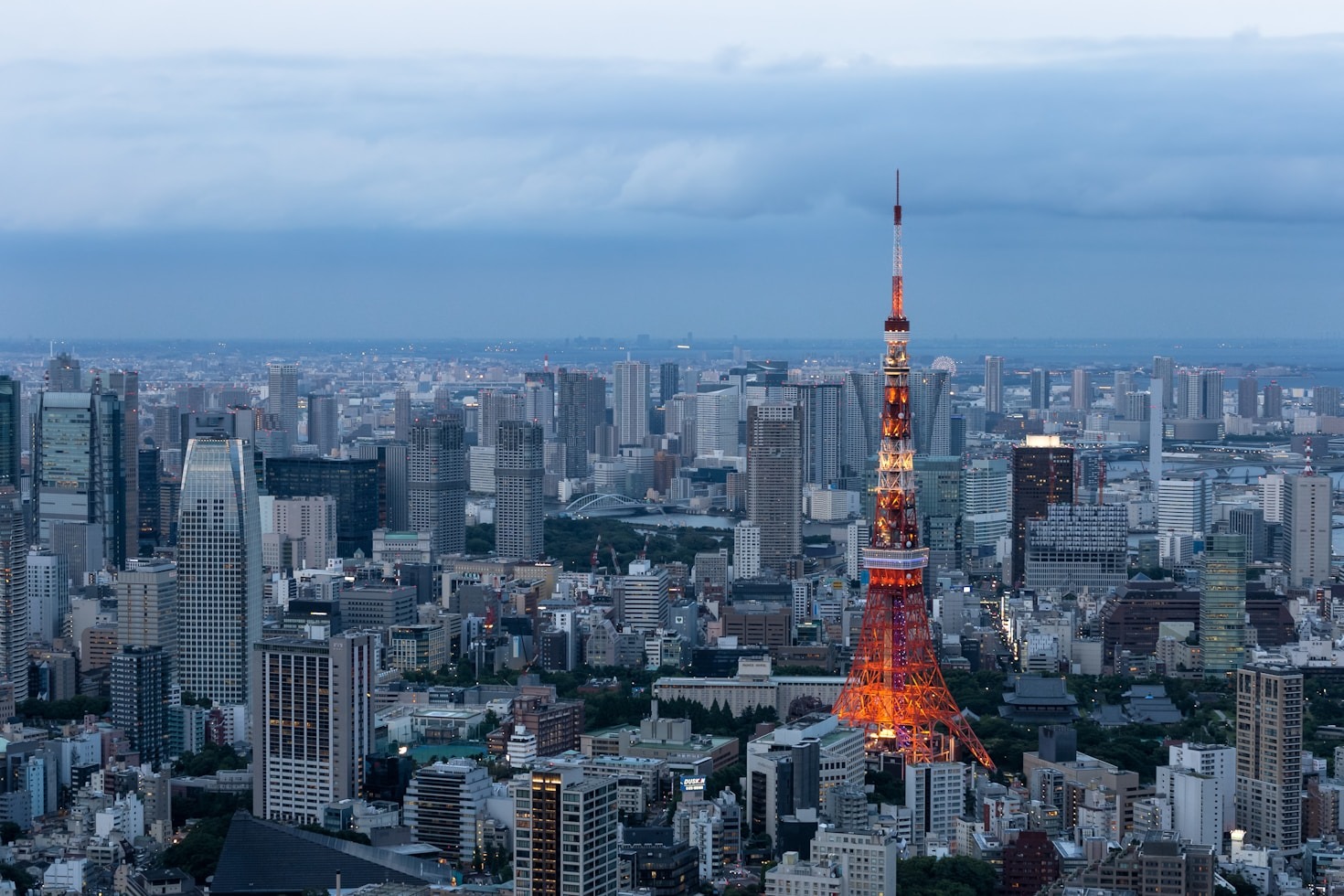 How to Navigate Mt. Gox Claim Recovery Successfully
